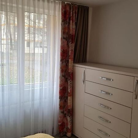 Apartament Violeta جورا هومورولوي المظهر الخارجي الصورة