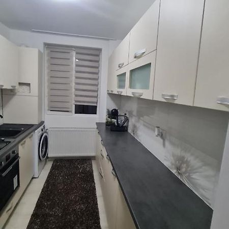 Apartament Violeta جورا هومورولوي المظهر الخارجي الصورة