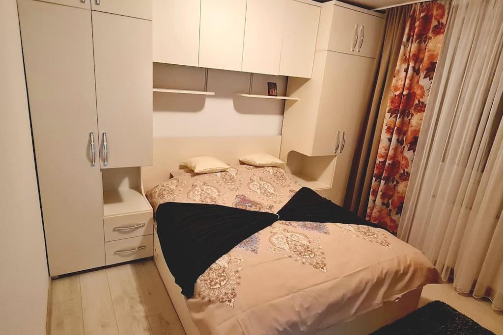 Apartament Violeta جورا هومورولوي المظهر الخارجي الصورة