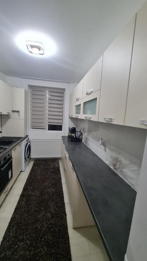 Apartament Violeta جورا هومورولوي المظهر الخارجي الصورة