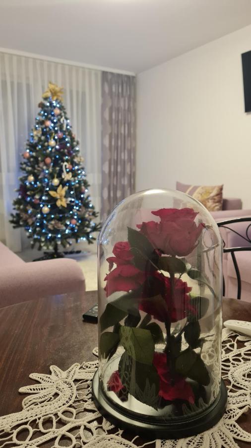 Apartament Violeta جورا هومورولوي المظهر الخارجي الصورة