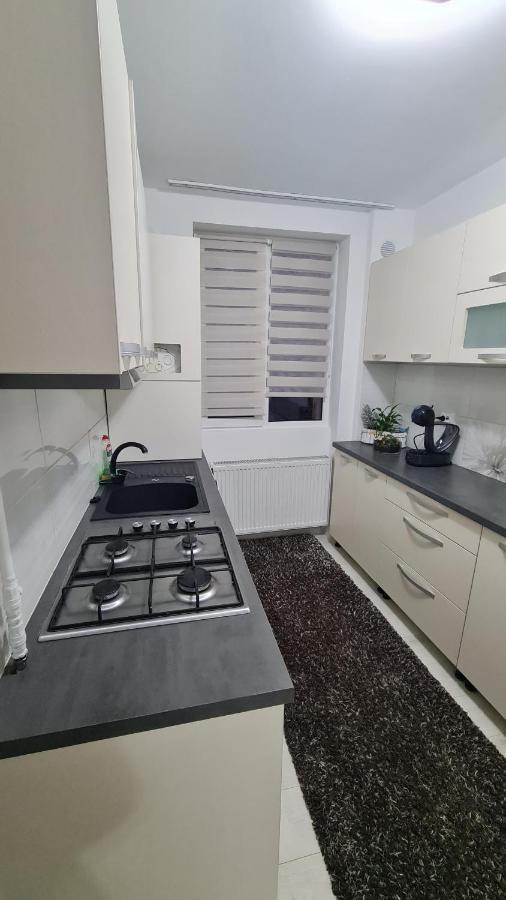 Apartament Violeta جورا هومورولوي المظهر الخارجي الصورة
