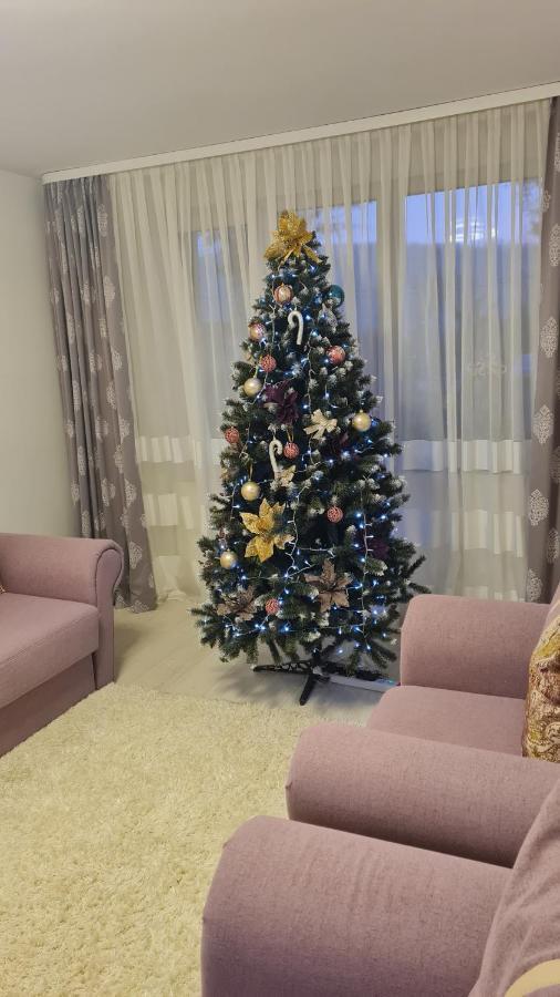 Apartament Violeta جورا هومورولوي المظهر الخارجي الصورة