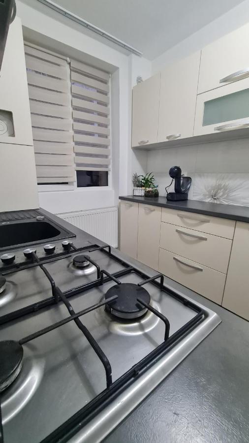 Apartament Violeta جورا هومورولوي المظهر الخارجي الصورة